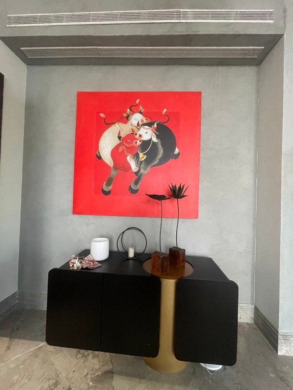 Juneja Residence — view 4